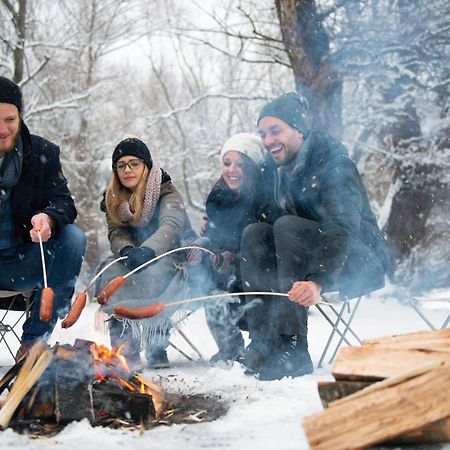 Forest Chalet, 15 Min To Salzburg Olt Town, And Most Beautiful Lakes, Secluded Location, 1,000 Sqm Garden, Mountainview, Panorama Sauna, Bath Whirlpool, Bbq&Bikes&Sunbeds For Free, Up To 10 P Golling an der Salzach Buitenkant foto