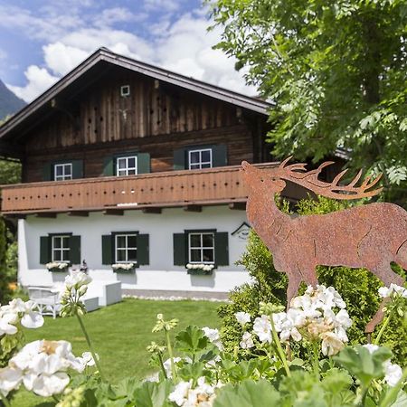 Forest Chalet, 15 Min To Salzburg Olt Town, And Most Beautiful Lakes, Secluded Location, 1,000 Sqm Garden, Mountainview, Panorama Sauna, Bath Whirlpool, Bbq&Bikes&Sunbeds For Free, Up To 10 P Golling an der Salzach Buitenkant foto