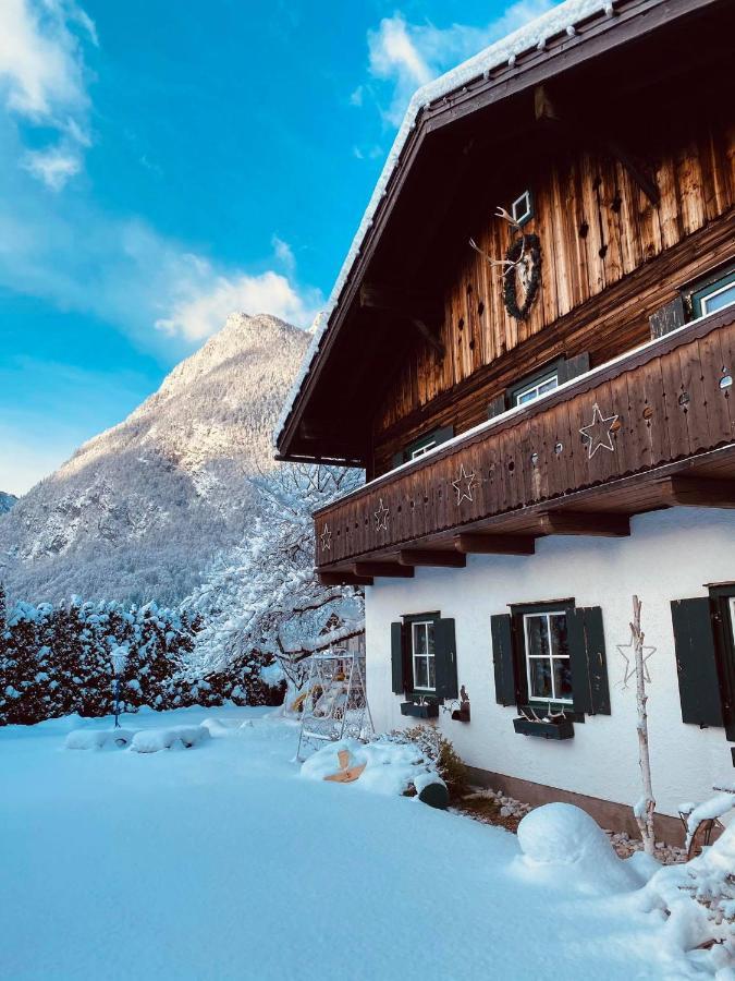 Forest Chalet, 15 Min To Salzburg Olt Town, And Most Beautiful Lakes, Secluded Location, 1,000 Sqm Garden, Mountainview, Panorama Sauna, Bath Whirlpool, Bbq&Bikes&Sunbeds For Free, Up To 10 P Golling an der Salzach Buitenkant foto