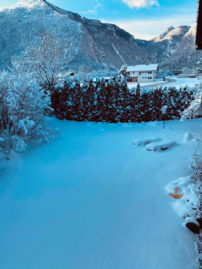 Forest Chalet, 15 Min To Salzburg Olt Town, And Most Beautiful Lakes, Secluded Location, 1,000 Sqm Garden, Mountainview, Panorama Sauna, Bath Whirlpool, Bbq&Bikes&Sunbeds For Free, Up To 10 P Golling an der Salzach Buitenkant foto