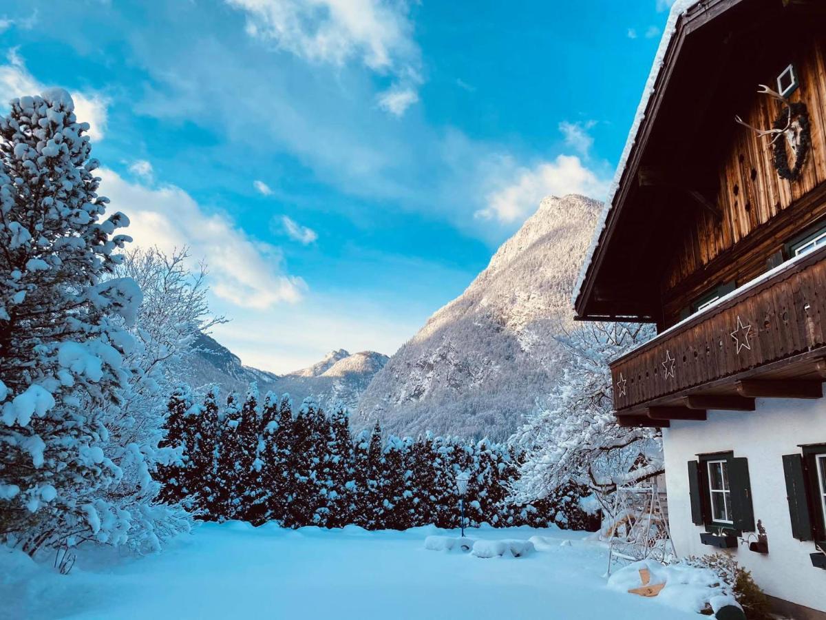Forest Chalet, 15 Min To Salzburg Olt Town, And Most Beautiful Lakes, Secluded Location, 1,000 Sqm Garden, Mountainview, Panorama Sauna, Bath Whirlpool, Bbq&Bikes&Sunbeds For Free, Up To 10 P Golling an der Salzach Buitenkant foto