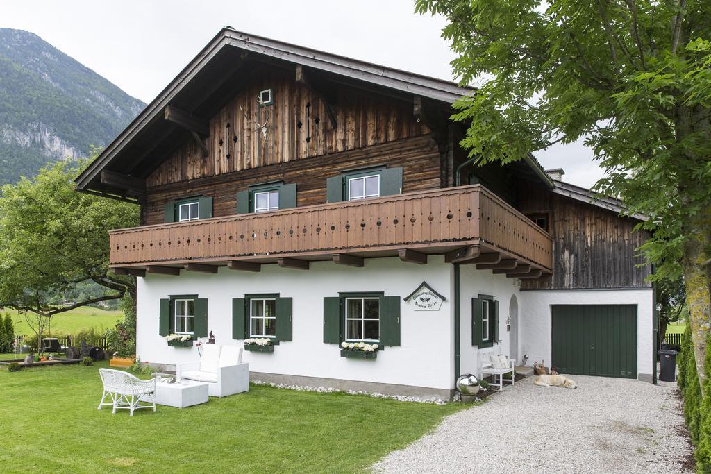 Forest Chalet, 15 Min To Salzburg Olt Town, And Most Beautiful Lakes, Secluded Location, 1,000 Sqm Garden, Mountainview, Panorama Sauna, Bath Whirlpool, Bbq&Bikes&Sunbeds For Free, Up To 10 P Golling an der Salzach Buitenkant foto