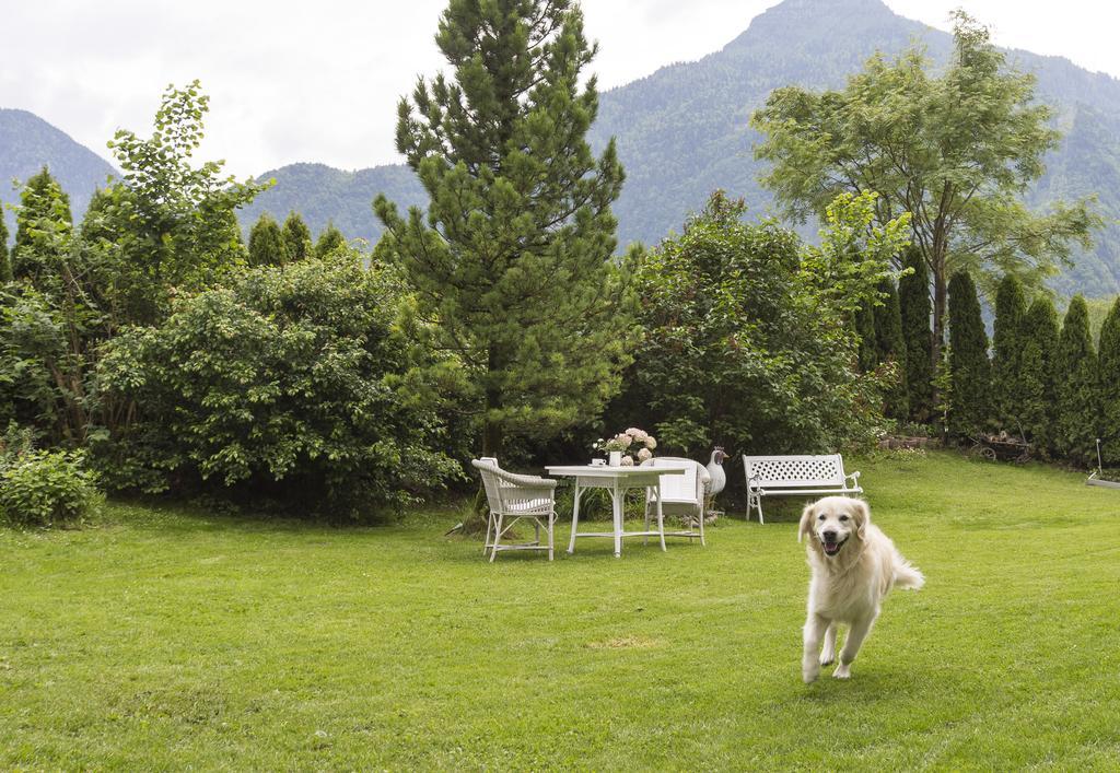 Forest Chalet, 15 Min To Salzburg Olt Town, And Most Beautiful Lakes, Secluded Location, 1,000 Sqm Garden, Mountainview, Panorama Sauna, Bath Whirlpool, Bbq&Bikes&Sunbeds For Free, Up To 10 P Golling an der Salzach Buitenkant foto