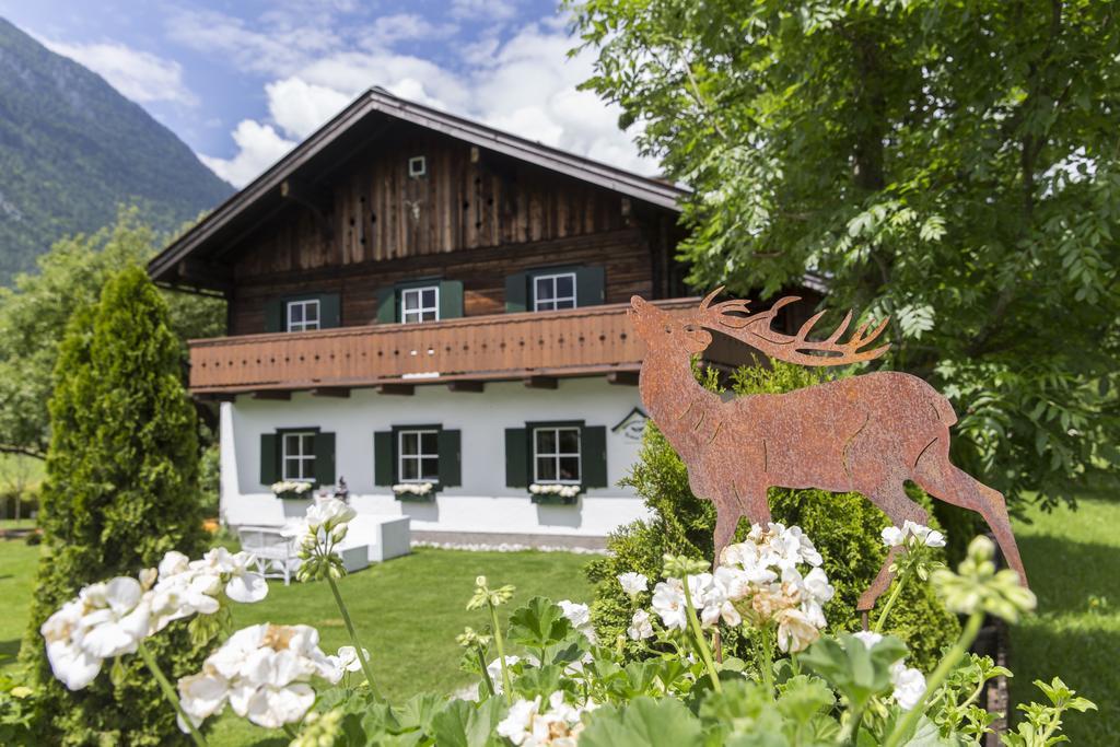 Forest Chalet, 15 Min To Salzburg Olt Town, And Most Beautiful Lakes, Secluded Location, 1,000 Sqm Garden, Mountainview, Panorama Sauna, Bath Whirlpool, Bbq&Bikes&Sunbeds For Free, Up To 10 P Golling an der Salzach Buitenkant foto