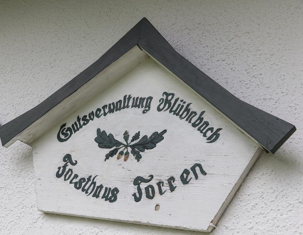 Forest Chalet, 15 Min To Salzburg Olt Town, And Most Beautiful Lakes, Secluded Location, 1,000 Sqm Garden, Mountainview, Panorama Sauna, Bath Whirlpool, Bbq&Bikes&Sunbeds For Free, Up To 10 P Golling an der Salzach Buitenkant foto