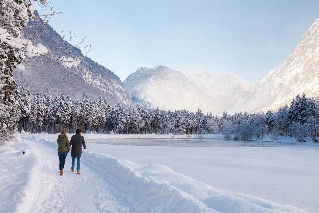 Forest Chalet, 15 Min To Salzburg Olt Town, And Most Beautiful Lakes, Secluded Location, 1,000 Sqm Garden, Mountainview, Panorama Sauna, Bath Whirlpool, Bbq&Bikes&Sunbeds For Free, Up To 10 P Golling an der Salzach Buitenkant foto