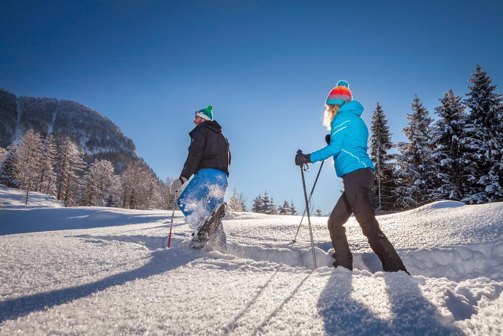 Forest Chalet, 15 Min To Salzburg Olt Town, And Most Beautiful Lakes, Secluded Location, 1,000 Sqm Garden, Mountainview, Panorama Sauna, Bath Whirlpool, Bbq&Bikes&Sunbeds For Free, Up To 10 P Golling an der Salzach Buitenkant foto