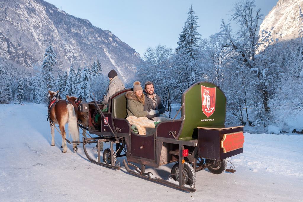 Forest Chalet, 15 Min To Salzburg Olt Town, And Most Beautiful Lakes, Secluded Location, 1,000 Sqm Garden, Mountainview, Panorama Sauna, Bath Whirlpool, Bbq&Bikes&Sunbeds For Free, Up To 10 P Golling an der Salzach Buitenkant foto