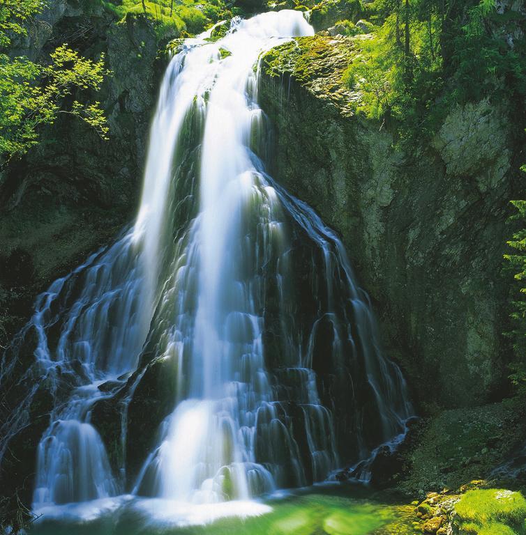 Forest Chalet, 15 Min To Salzburg Olt Town, And Most Beautiful Lakes, Secluded Location, 1,000 Sqm Garden, Mountainview, Panorama Sauna, Bath Whirlpool, Bbq&Bikes&Sunbeds For Free, Up To 10 P Golling an der Salzach Buitenkant foto