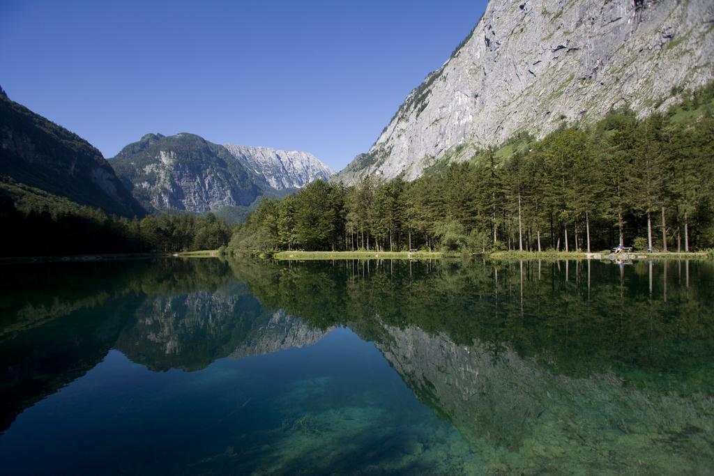 Forest Chalet, 15 Min To Salzburg Olt Town, And Most Beautiful Lakes, Secluded Location, 1,000 Sqm Garden, Mountainview, Panorama Sauna, Bath Whirlpool, Bbq&Bikes&Sunbeds For Free, Up To 10 P Golling an der Salzach Buitenkant foto